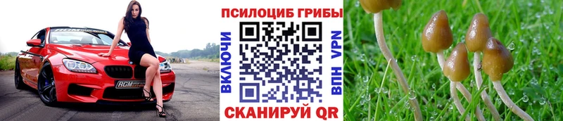 Галлюциногенные грибы GOLDEN TEACHER  Крым 